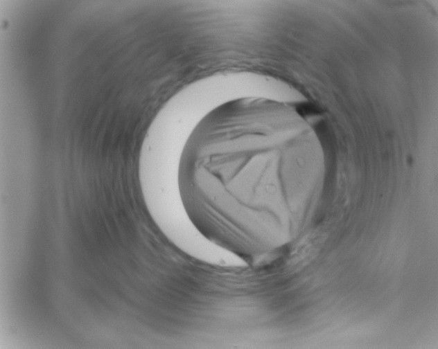 X0000061140768200512091934