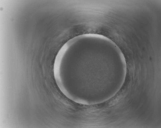 X0000061140769200512091933