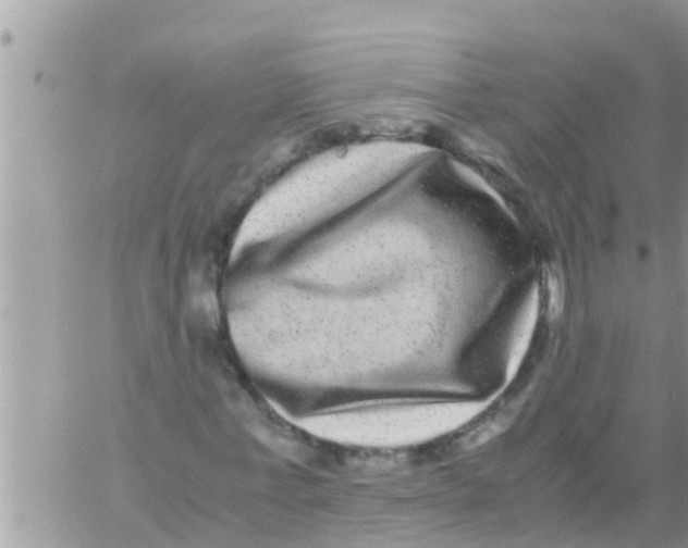 X0000061140771200512091933