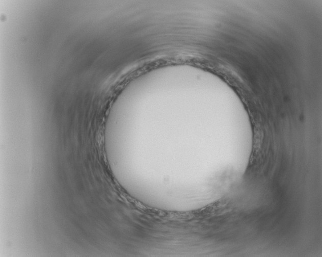 X0000061140773200512091933