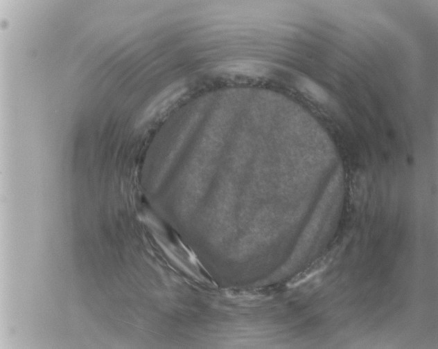 X0000061140774200512091933