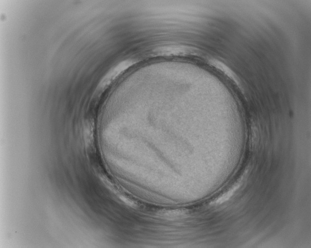 X0000061140778200512091933