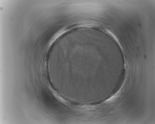 X0000061140779200512091933