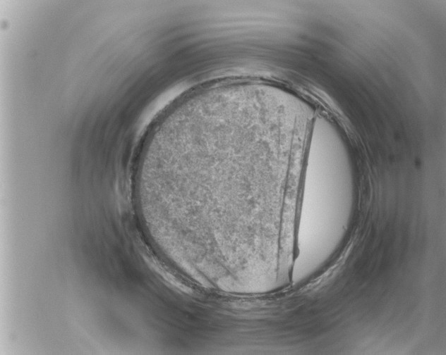 X0000061140780200512091933