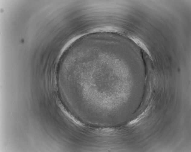 X0000061140784200512091932