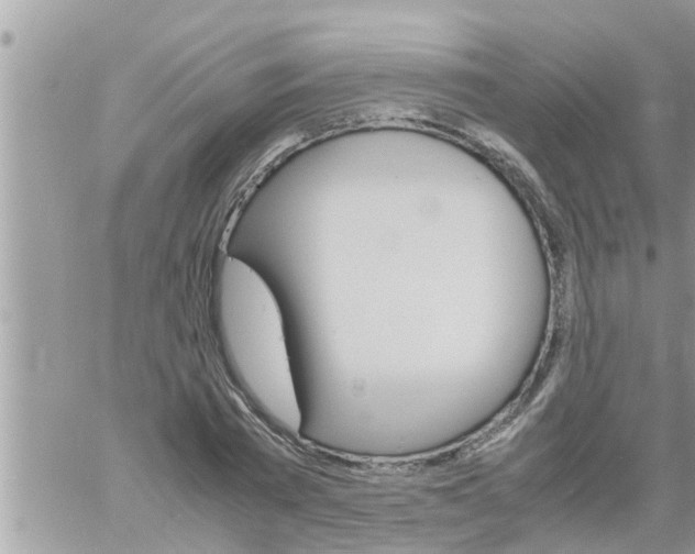 X0000061140785200512091932