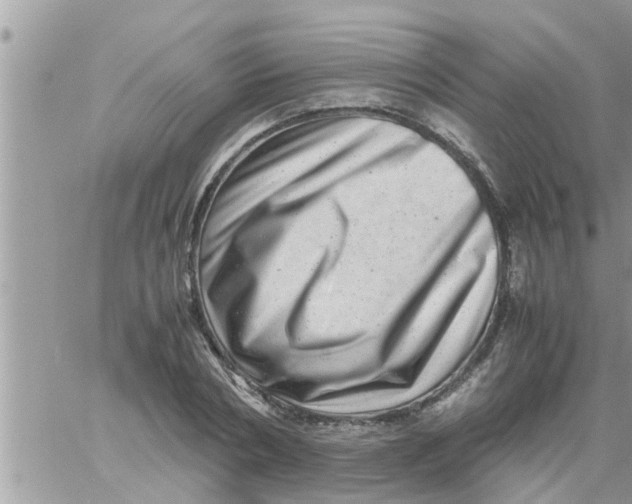 X0000061140786200512091932