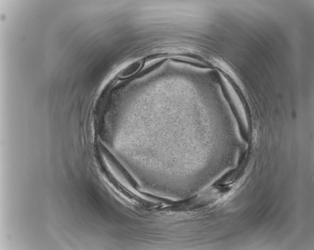 X0000061140787200512091932