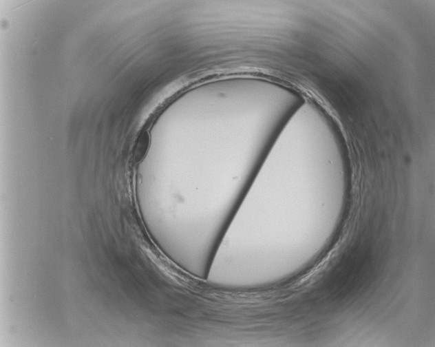 X0000061140789200512091932