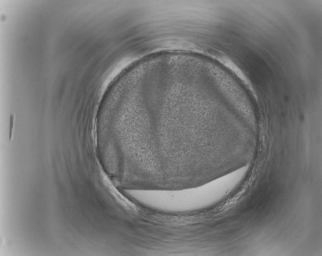 X0000061140791200512091932