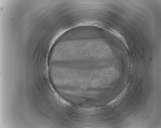 X0000061140792200512091932