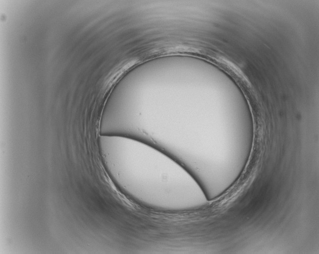 X0000061140793200512091932