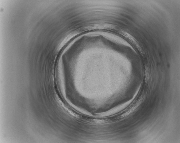 X0000061140794200512091932