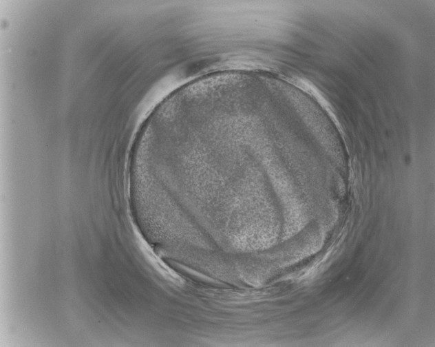 X0000061140795200512091932