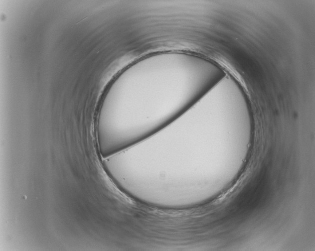 X0000061140797200512091932