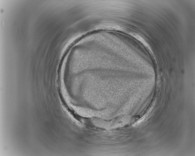 X0000061140799200512091932