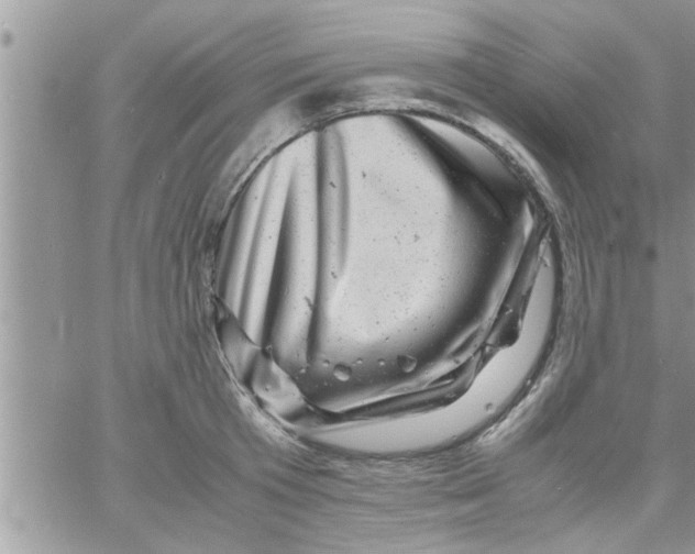 X0000061140801200512091932