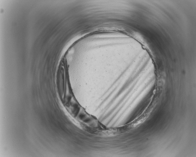 X0000061140803200512091932