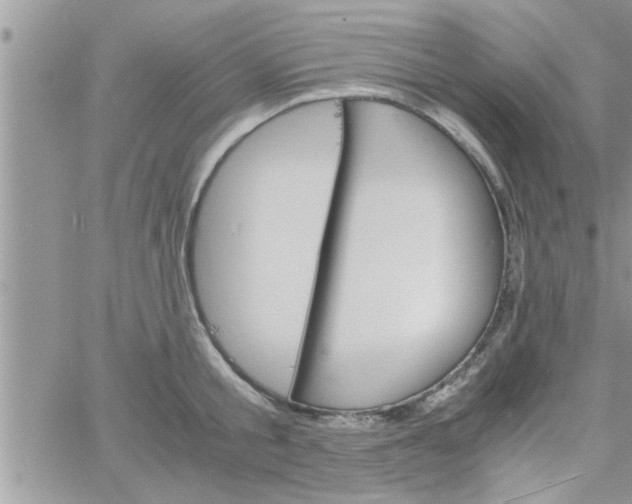 X0000061140805200512091932