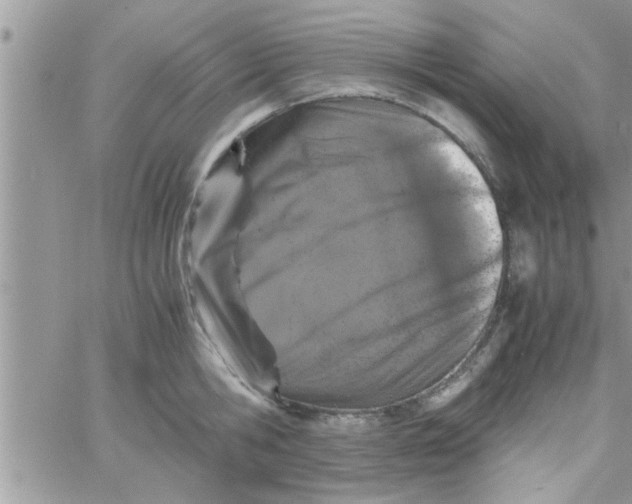 X0000061140806200512091932