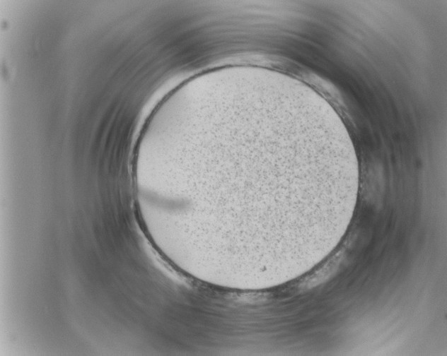 X0000061140808200512091932