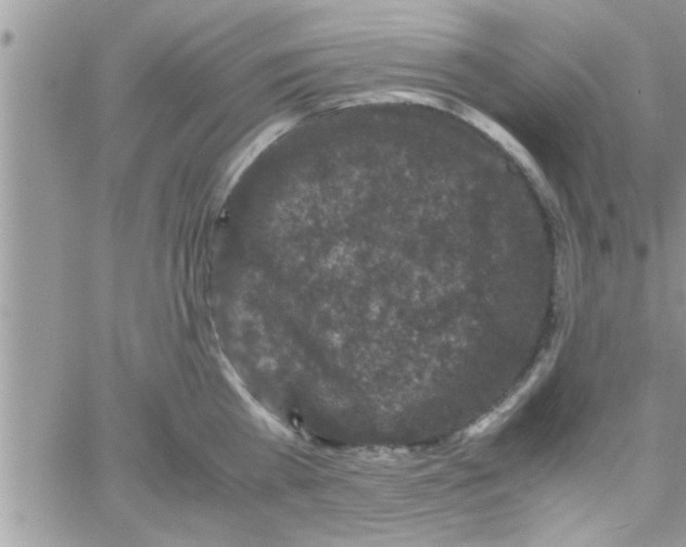 X0000061140809200512091932