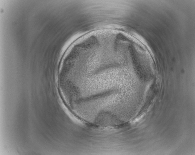 X0000061140811200512091932