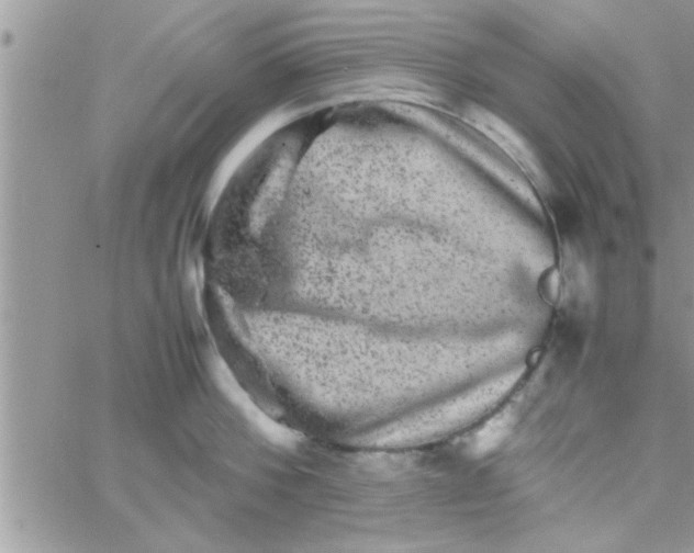 X0000061140812200512091932