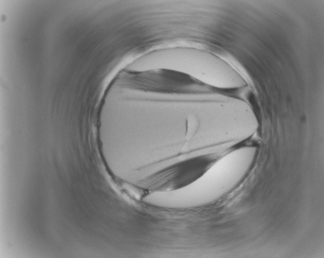 X0000061140813200512091932