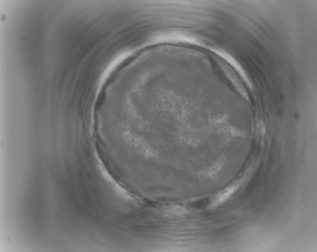 X0000061140815200512091932