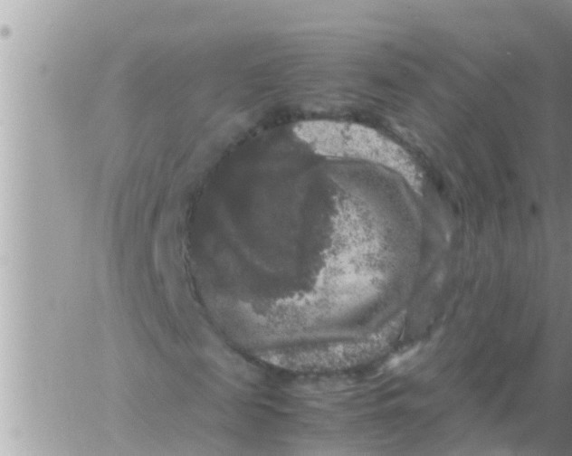 X0000061140817200512091931