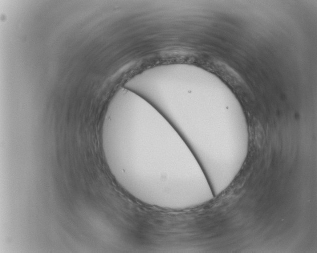 X0000061140821200512091931