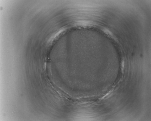 X0000061140822200512091931