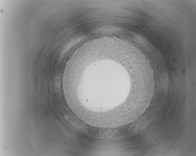 X0000061140824200512091931