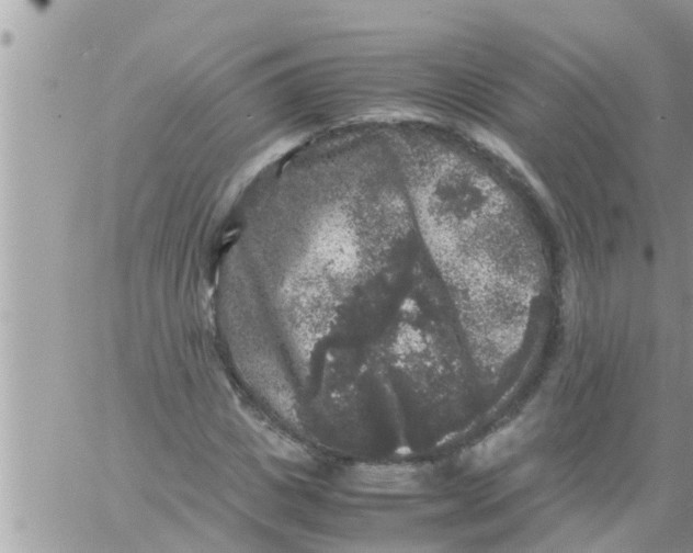 X0000061140825200512091931