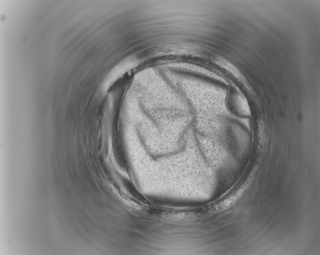 X0000061140826200512091931