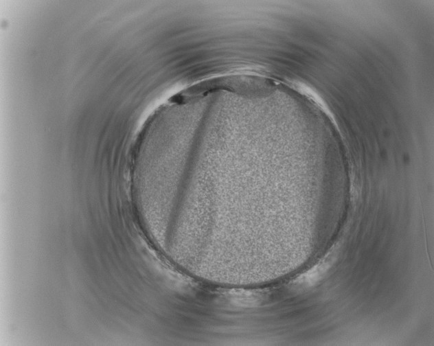 X0000061140827200512091931