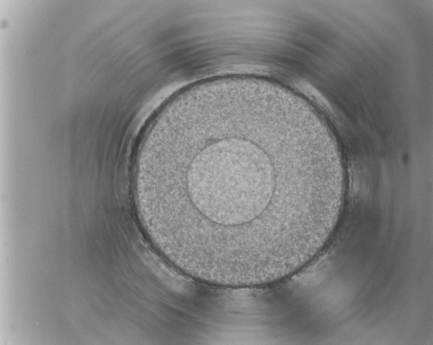 X0000061140828200512091931