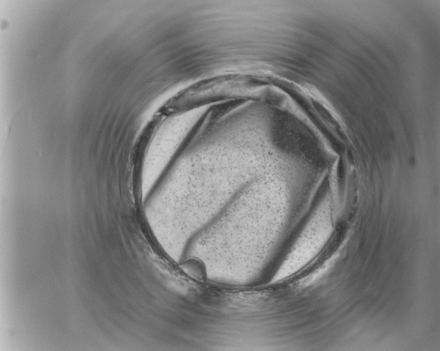 X0000061140830200512091931