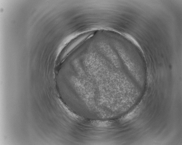 X0000061140831200512091931