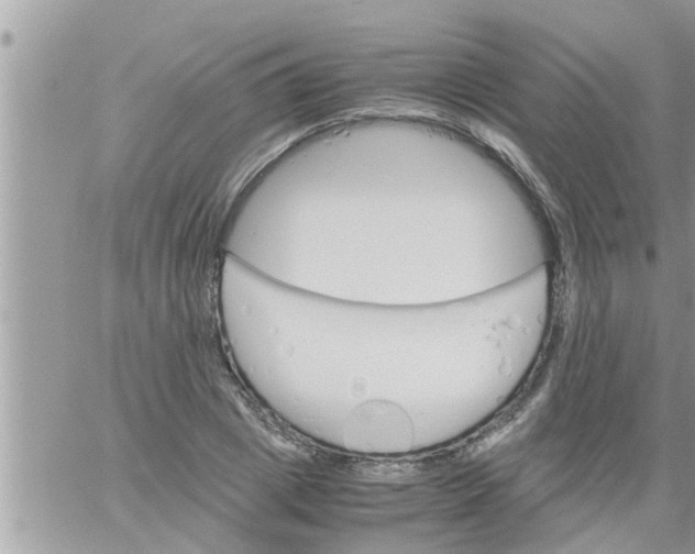 X0000061140833200512091931