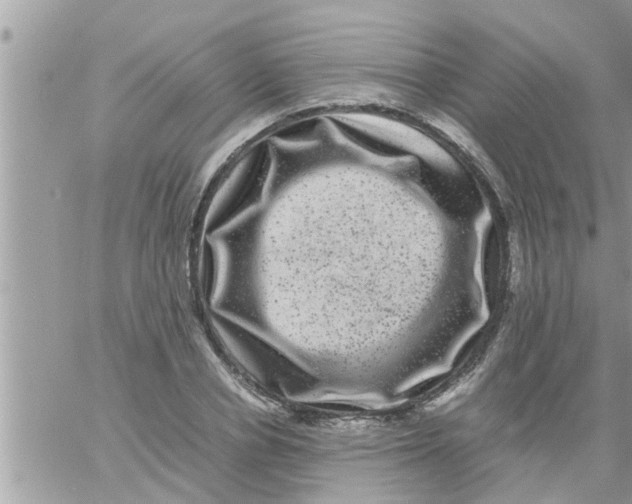 X0000061140834200512091931