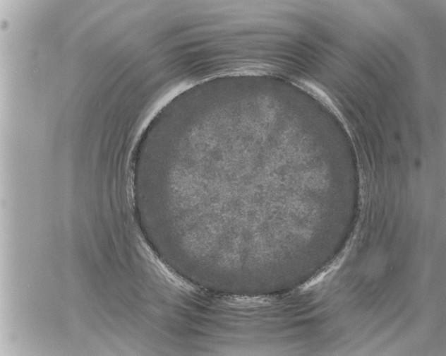 X0000061140835200512091931