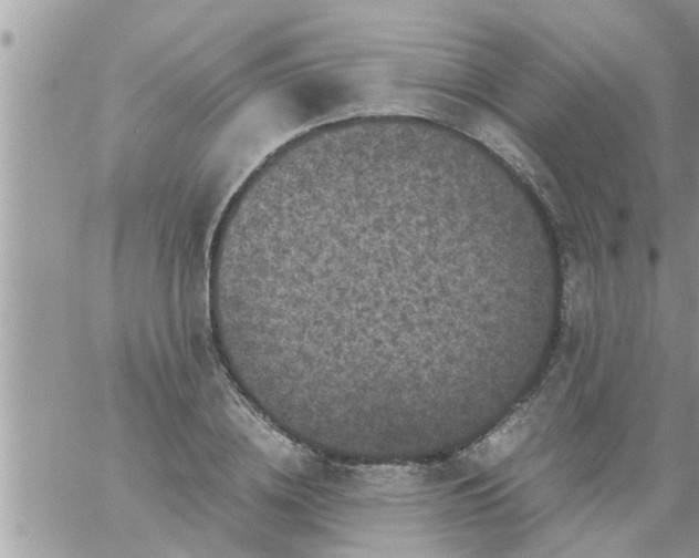 X0000061140836200512091931