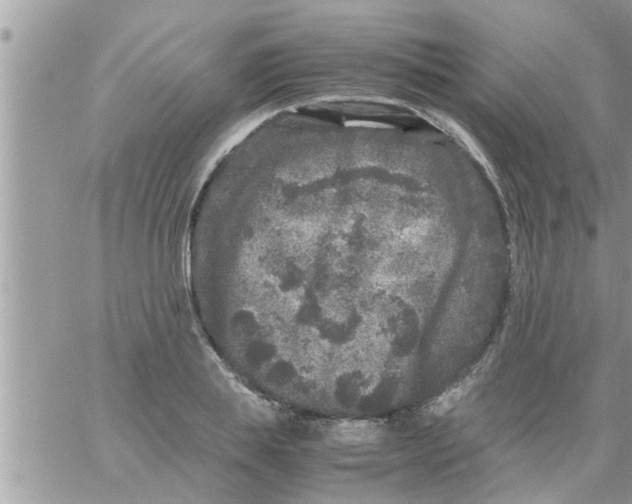 X0000061140839200512091932