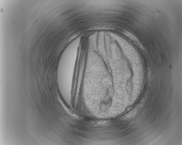 X0000061140841200512091932