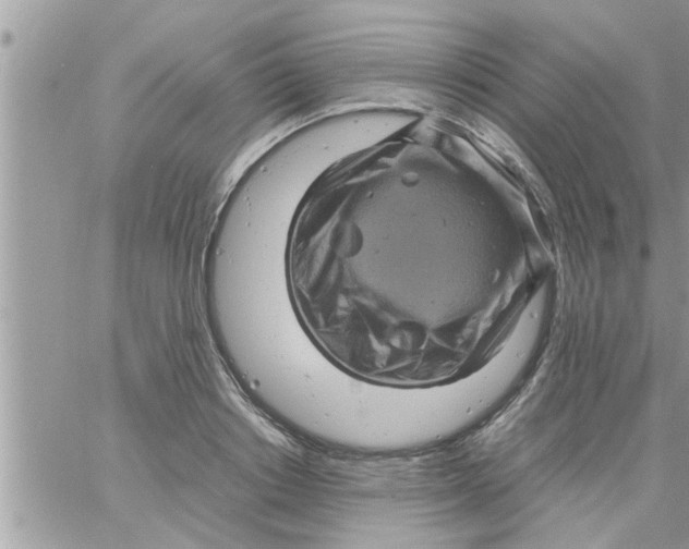 X0000061140842200512091932