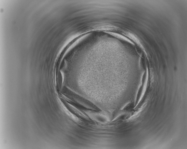 X0000061140843200512091932