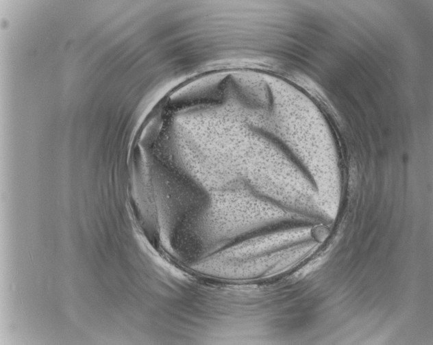 X0000061140844200512091932