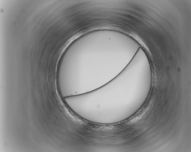 X0000061140845200512091932